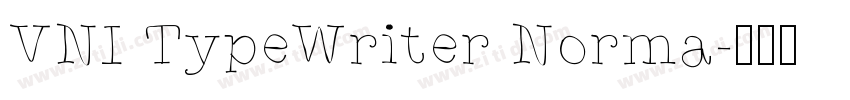VNI TypeWriter Norma字体转换